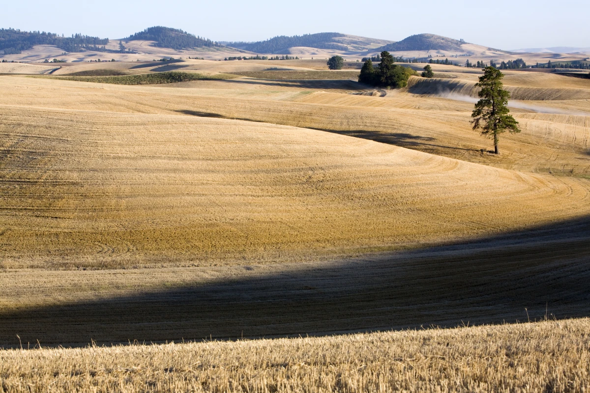 L'essor des biens agricoles et ruraux : un nouvel eldorado pour l'investissement immobilier