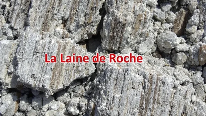 guide-complet-sur-le-1