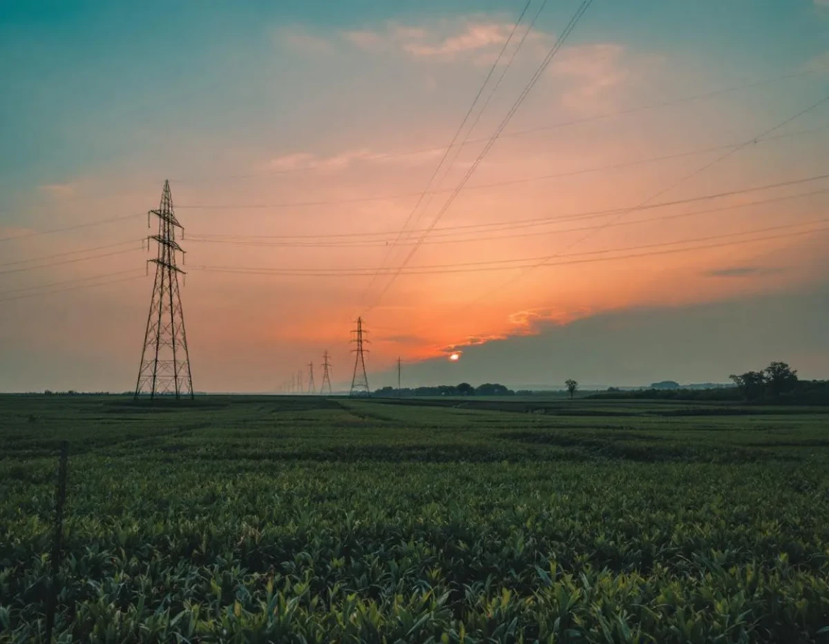 Comment Résilier un Contrat d'Électricité : Guide Complet sur les Responsabilités